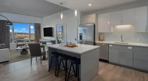 Hyatus Luxury Residences Boston Assembly Row - Image 3