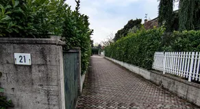BBgreen - Image 5
