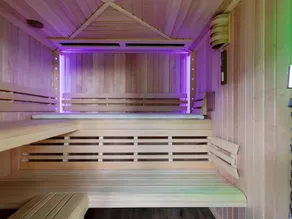 Forest House in Friesland with Sauna - Image 3