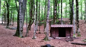 Hotel Ballarin - Image 4