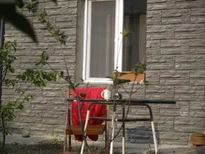 Cherry House - Image 3
