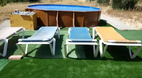 LA NURSERY DE MAS GUILLO - Image 4