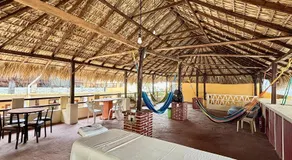 Hotel Papaya Surf - Image 2