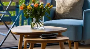 Mimosa bed & breakfast in IJsselmuiden - Image 3