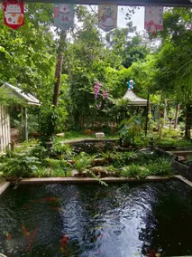 Phawaeng Resort พะแวงรีสอร์ท - Image 5