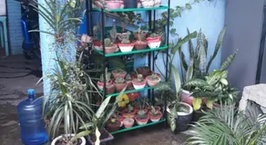 CVBNB GUESTHOUSE - Image 5