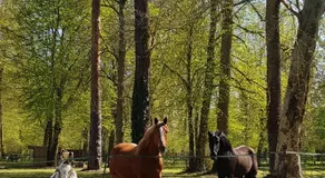 Les Sabots du Parc - Image 4