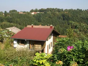 Tranquil Holiday Home in Harreberg with Terrace - Image 2