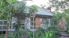 Suzy's Place - Image 4