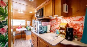 Vintage-Inspired Retro RV with Flamingo Theme Near Coast & Hiking Trails, El Cajon CA - Image 4