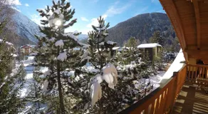 Chalet Alpina Hotel & Apartments - Image 3