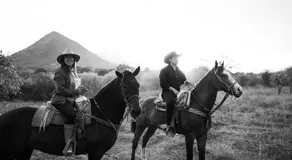 Horse & Bed Hostel - Image 5
