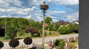 Zielona Ostoja - Pokoje i Apartamenty - Image 5