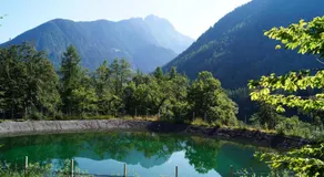 Grumserhof - Image 5
