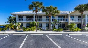 Come Stay Where the Dolphins Play! - Image 4