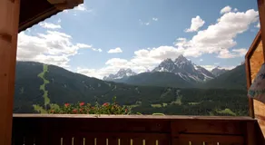 Galler am Berg - Image 3