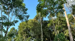 Good Time Resort Koh Kood - Image 4