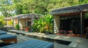 The White Palms of Nosara - Image 4