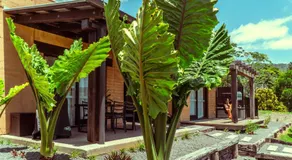 Mayan Farm House and Villas, Noosa Hinterland - Image 5