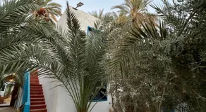 Bait Gamal Siwa بيت جمال سيوة - Image 5