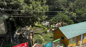 Rudra Home stay l On heritage Market kasauli l Best food Cafe Rudra l Kasauli - Image 3