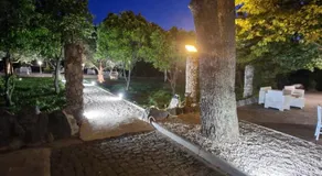 Tenuta Oliva - Image 5