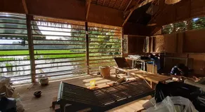 d'Jarwo House - Image 3