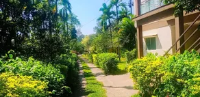 Palm Era Resorts - Image 5