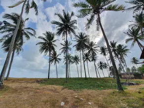Bayu Beach Chalet PCB - Image 2