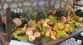 B&B Corte Alfier - Image 4