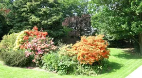 The oaklands hotel - Image 5