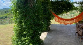 Alma Luna - Image 3