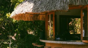 Maestro Valley - Creative Wellness Hostel and Retreat Center - Image 5