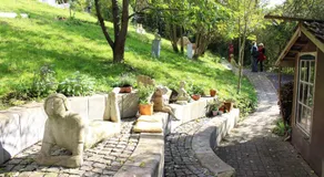 Schöne Wohnung Landhaus-Flair - Image 5