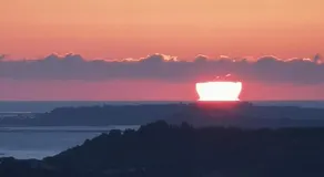 Rosemar - Image 5