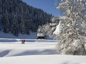 Traumhotel Alpina Superior - Image 4