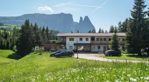 Sabina Dolomites Birke - Image 5