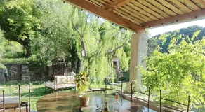 Cyprès du château - Image 4