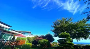 Jeju Haebyeol Private Pension Pet friendly - Image 5
