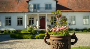 Svabesholms Kungsgårds B&B och Pensionat Stenshuvud - Image 4