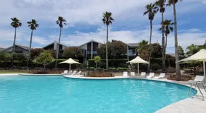 Magenta Palms - Image 3