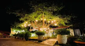 Follow Me designed B&B - Image 5