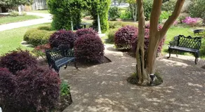 Queen Anne Bed and Breakfast - Image 3