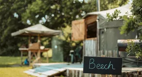 Beech Yurt - Image 4