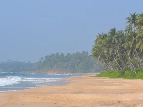 ÀNI Sri Lanka - Image 3