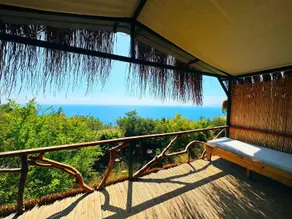 HONEY HILL FARALYA - Image 5