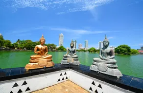 Raj Marine - Image 4