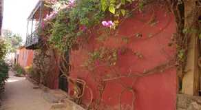 Maison Augustin LY - Image 5