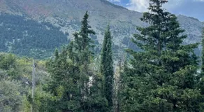 7Hills by Life Houses - Image 5