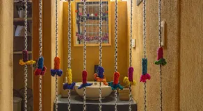 Cabaña mágica en Valle Sagrado - Image 5